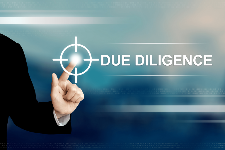 DUE DILIGENCE SERVICES